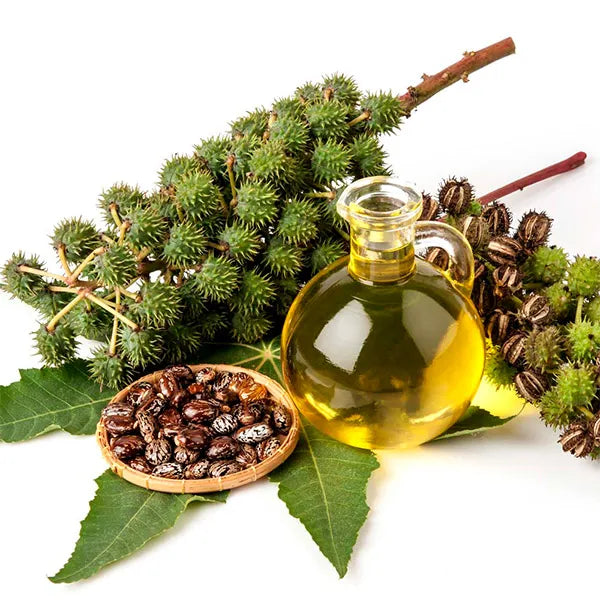 BIOVENE - Pure Castor Oil