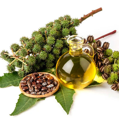 BIOVENE - Pure Castor Oil